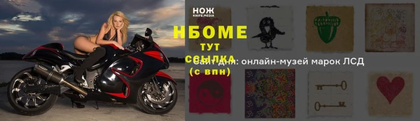 стафф Нефтекумск