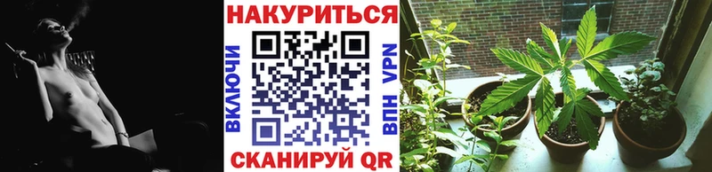 цены   Камбарка  Шишки марихуана семена 
